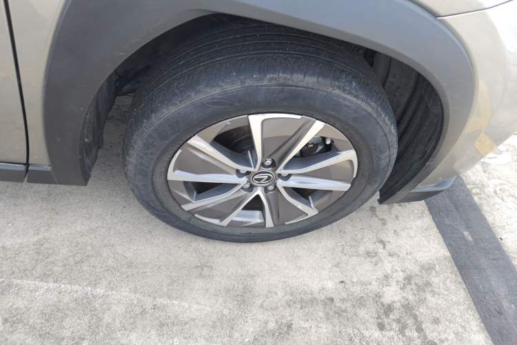 Used Lexus UX New Energy 2020 300e Pure·Joy Edition