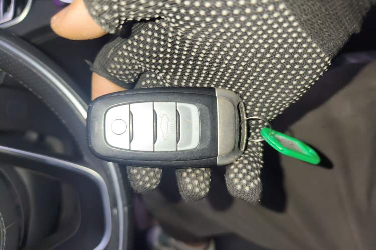 Used Hongqi H9 2020 2.0T Smart Connect Flagship Edition
