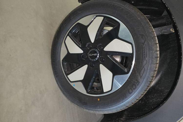 Used BYD Dolphin 2025 420km Free Edition