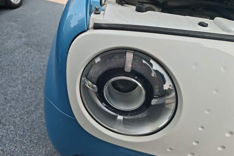 Used ORA Black Cat 2019 351 km Family Edition