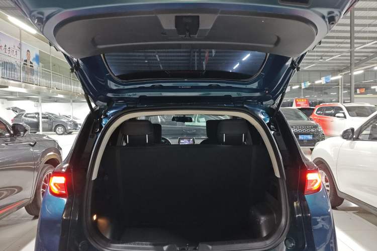 Used Dayun Yuehu 2023 300 Standard Edition
