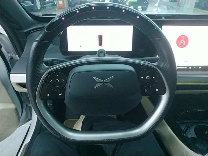 Used XPeng P7 2021 480E — 10