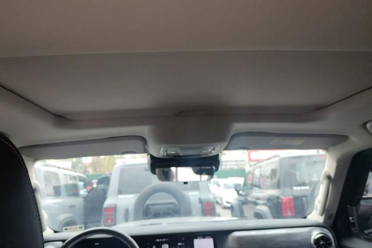 Used Tank 300 2024 2.0T Conqueror
