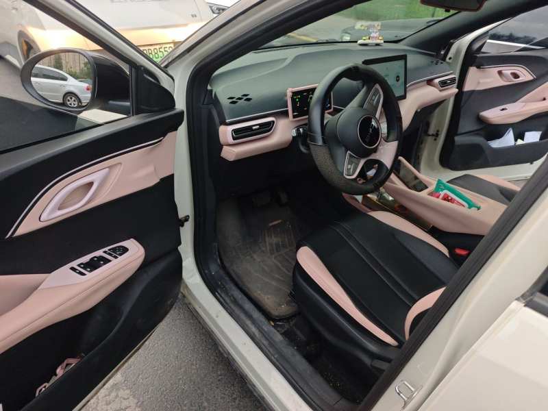 Used BYD Seagull 2025 Intelligent Driving Version 305 km Dynamic Edition — 20