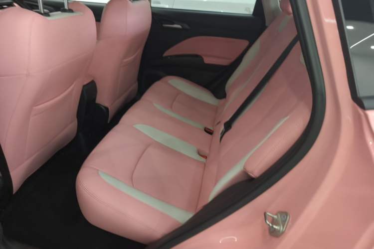 Used NETA V 2021 Witch Edition
