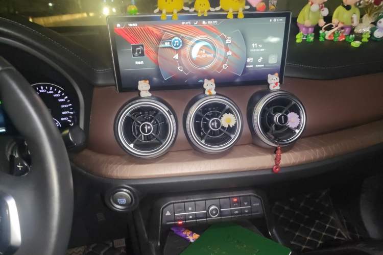 Used Wey VV5 2021 1.5T Two-Wheel Drive Color Pioneer
