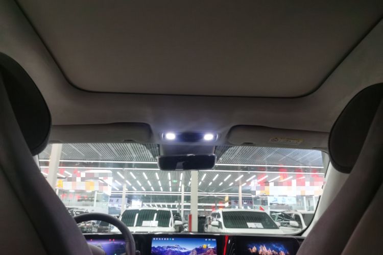 Used Leapmotor C11 2023 Pure Electric 580 All-Wheel-Drive Performance Edition Headliner