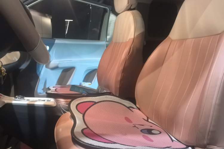 Used CHANGAN NEVO Lumin 2023 301km Honey Dew Edition
