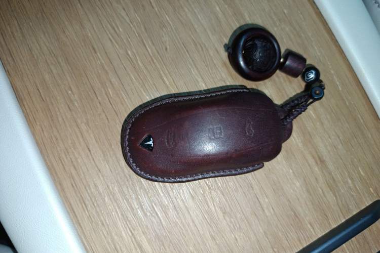 Used Tesla Model X 2020 Performance High-Performance Edition Interior 1