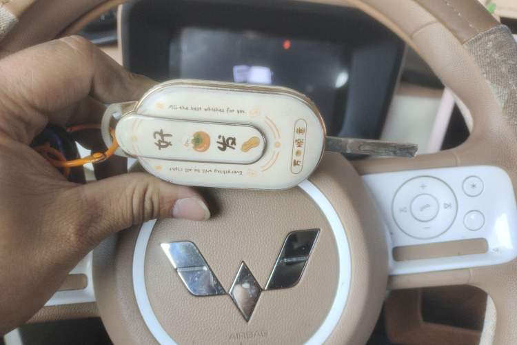 Used Wuling Hongguang MINIEV 2024 3rd Generation 170 km
