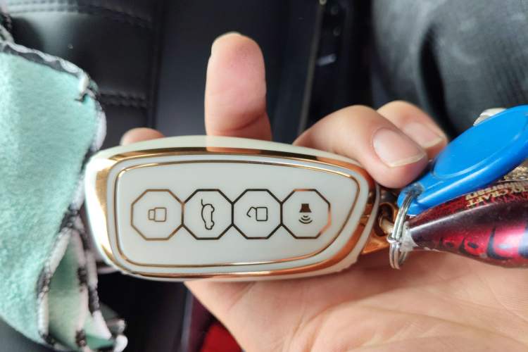 Used Haval H Dog 2023 2.0T All-Wheel-Drive Chaoye Plus