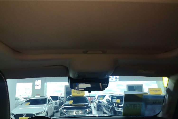 Used Tank 300 2021 Off-Road Edition 2.0T Conqueror
