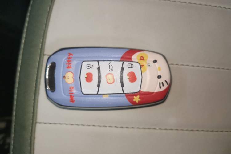 Used Geely Galaxy Panda 2025 210km Panda Rider
