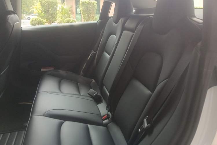 Used Tesla Model 3 2022 Rear-Wheel-Drive Version