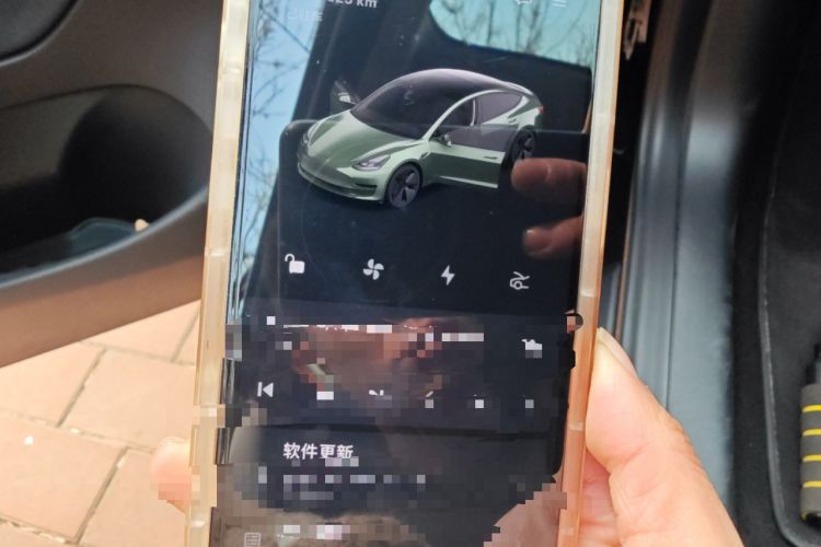 Used Tesla Model 3 2021 Standard Range Rear-Wheel Drive Upgraded Version 3D6
