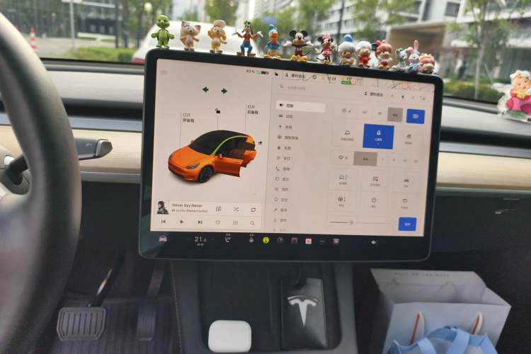 Used Tesla Model Y 2021 Standard Range Rear-Wheel Drive Version
