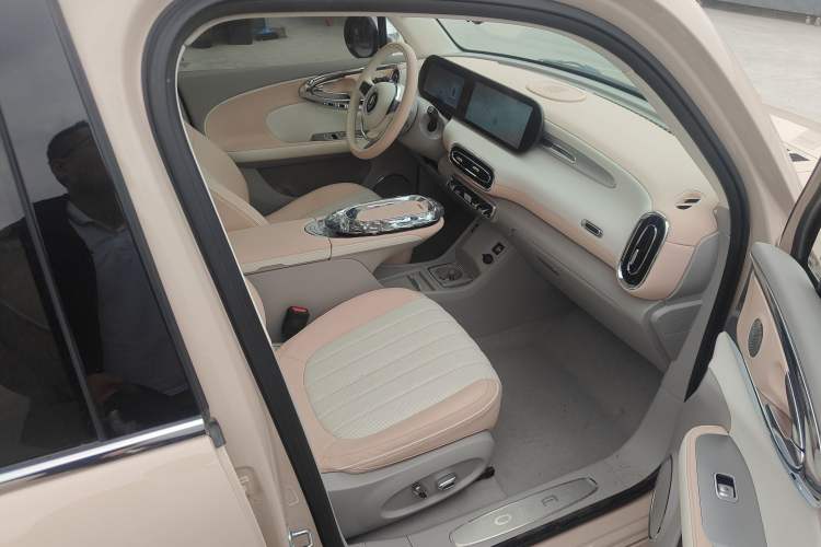 Used ORA Ballet Cat 2022 401 km Nutcracker Edition
