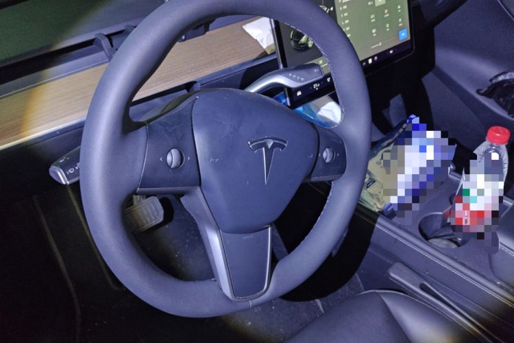 Used Tesla Model Y 2021 Standard Range Rear-Wheel Drive Version
