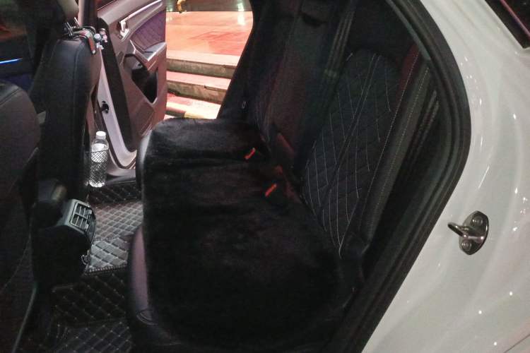 Used Audi Q3 Sportback 2024 40 TFSI Fashion Version Left Rear Seat