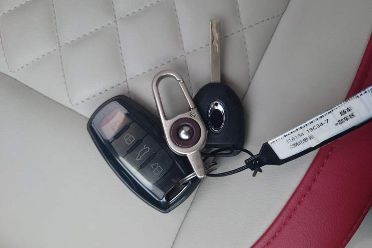 Used ORA Black Cat 2021 351 km Luxury Version Vehicle Key