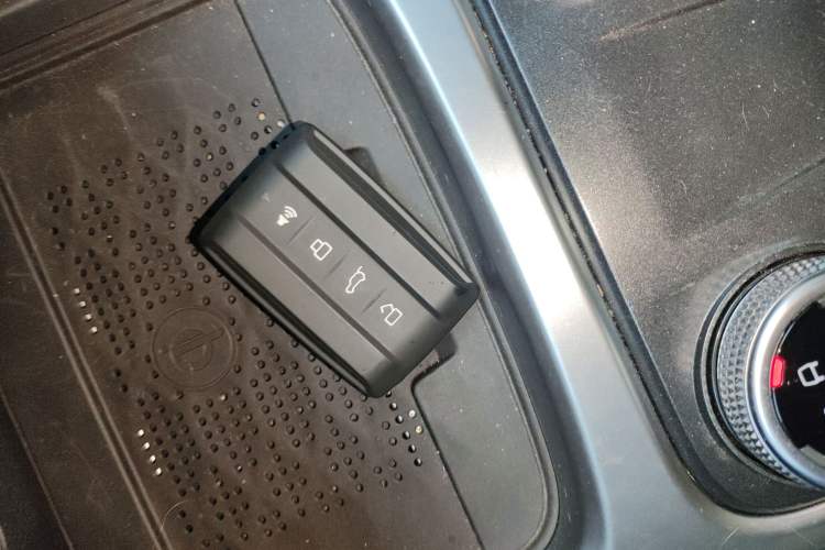 Used Tank 300 2024 2.0T Crosser