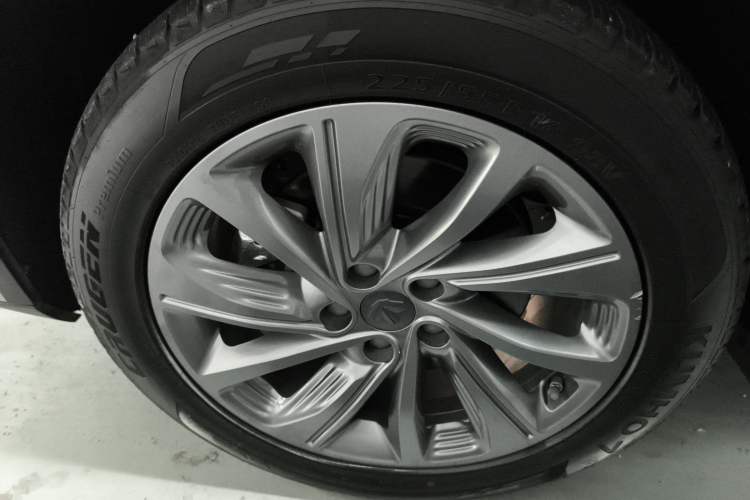 Used Livan Maple 80v PRO 2022 Comfort Edition Standard Range Version