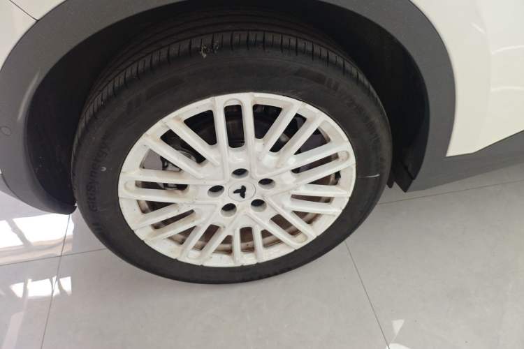 Used firefly firefly 2025 Illuminated Edition
