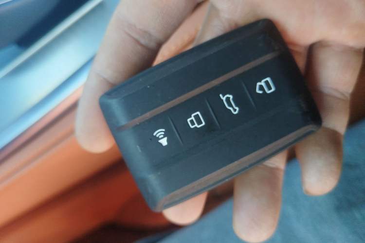 Used Tank 700 New Energy 2024 Hi4-T Extreme Edition Interior 1