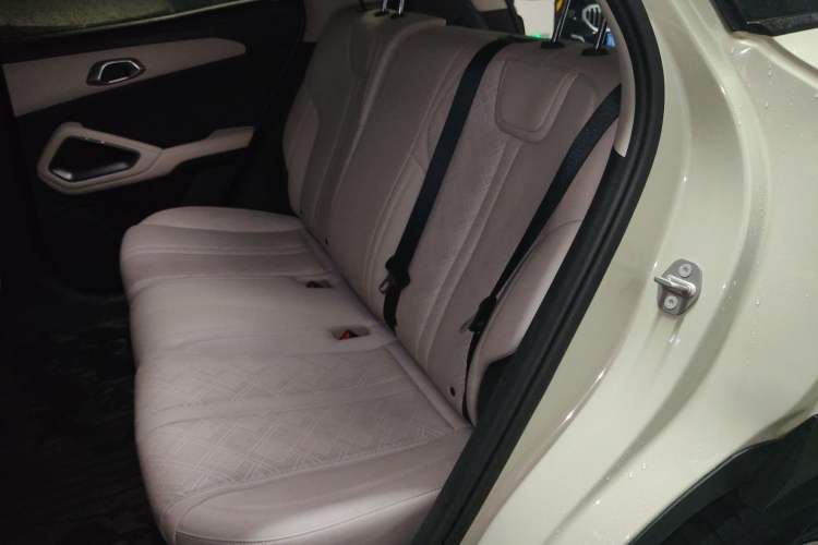 Used BYD Yuan UP 2024 401KM Leading Edition Left Rear Seat