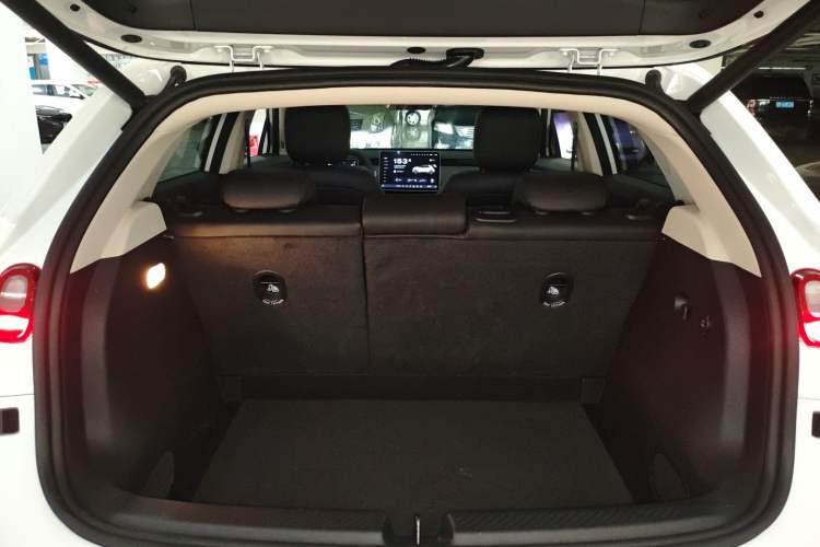 Used firefly 2025 Illuminated Edition
