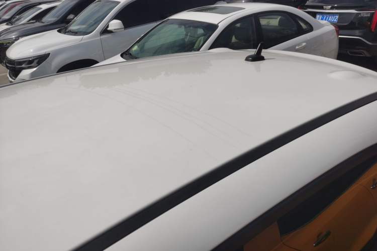 Used ORA Black Cat 2021 301 km Basic Version Roof