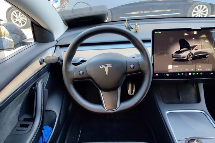 Used Tesla Model 3 2022 Rear-Wheel-Drive Version
