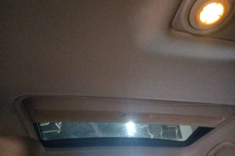 Used BMW 3 Series 2013 320Li Fashion Model Headliner