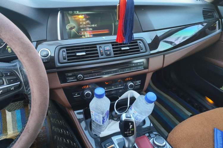 Used BMW 5 Series 2014 525Li Leading Model