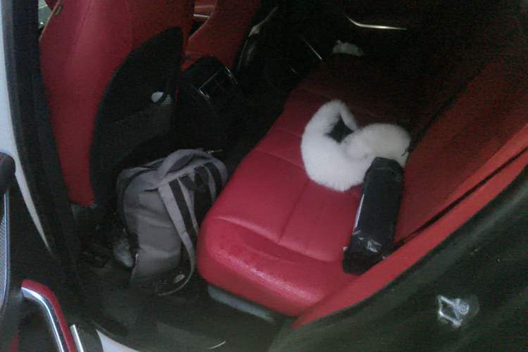 Used Jaguar F-PACE 2024 P250 R-Dynamic SE Left Rear Seat