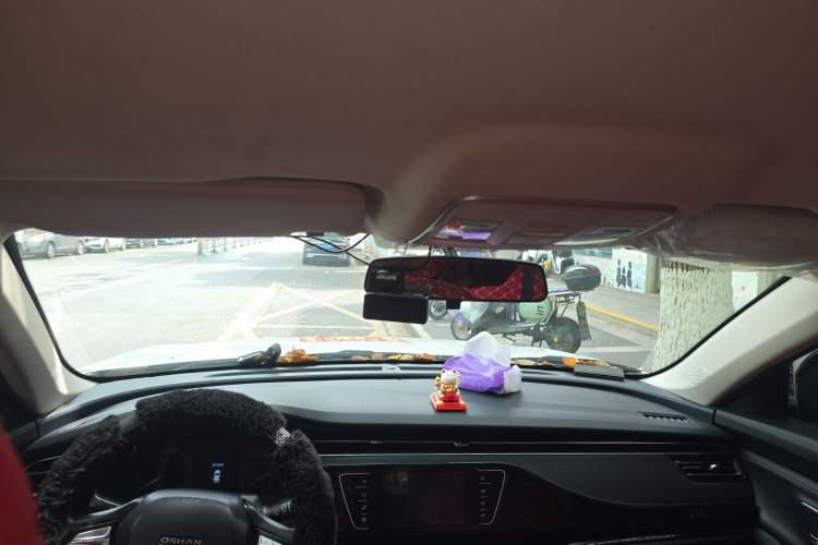 Used CHANGAN OSHAN X7 2021 1.5T Manual Comfort Model Headliner