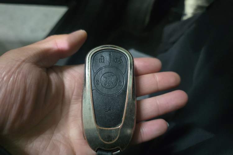 Used Buick Regal 2019 20T Elite Version China V Standard