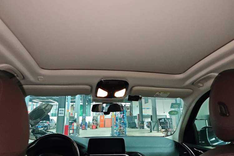 Used BMW X3 2020 xDrive25i Luxury Package Headliner