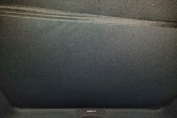 Used Rising R7 2022 Long-Range Advanced Edition
