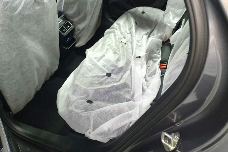 Used Geely Auto Preface 2025 Dongfang Yao 2.0TD Moonlight Edition Left Rear Seat