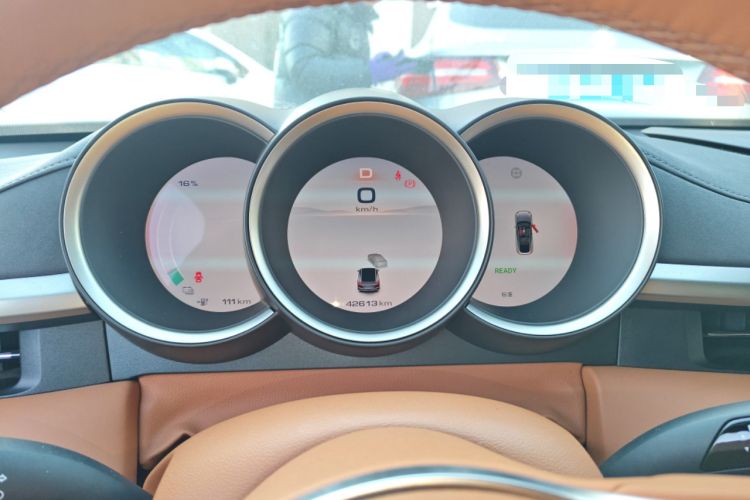 Used ORA Lightning Cat 2022 555 km Luxury Edition