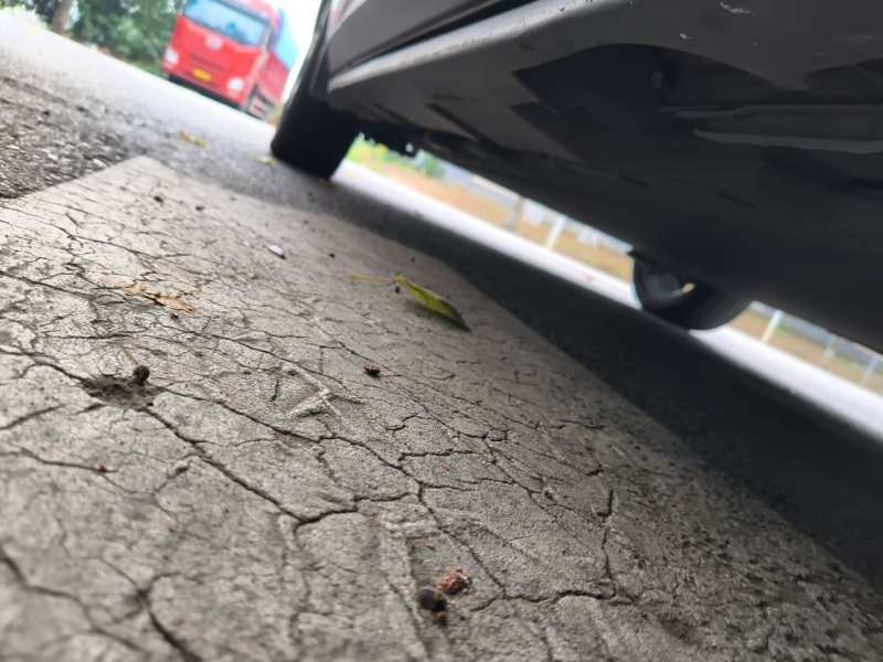 Used BYD Dolphin 2021 401km Knight Edition — 28