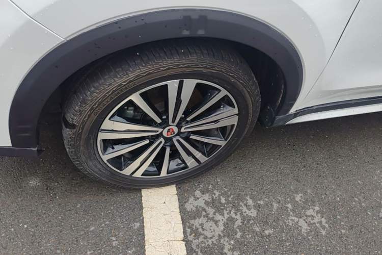 Used Roewe RX5 2020 20T Automatic 4G Connect Excellence Edition
