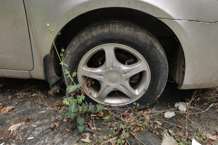 Used Geely Auto Vision 2010 1.5L Platinum Edition