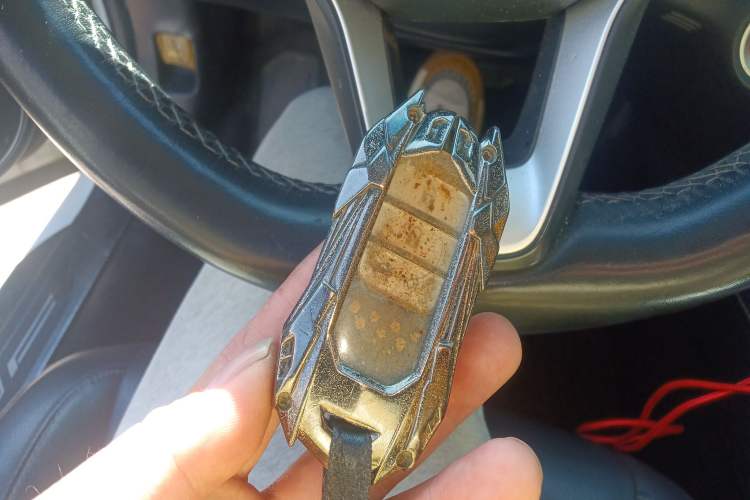 Used Honda Accord 2018 260TURBO Luxury Edition China VI