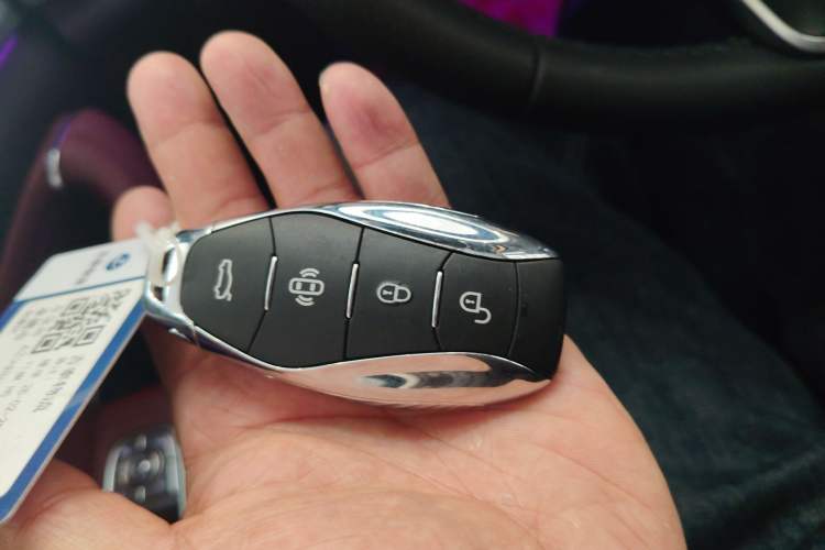 Used Hongqi H5 2023 2.0T Automatic Smart Connect Flagship Edition