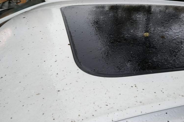 Used Haval H6 2021 3rd Generation 1.5T Automatic Two-Wheel Drive Max