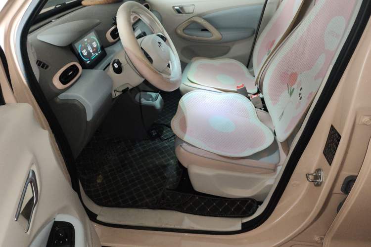 Used Leapmotor T03 2024 310 Comfort Edition Left Front Seat