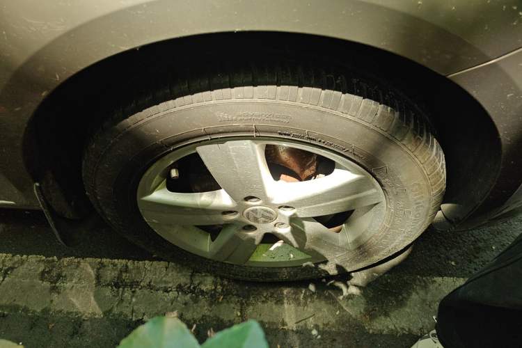 Used Volkswagen Touran 2015 1.4T Manual Fashion Edition 5-Seater
