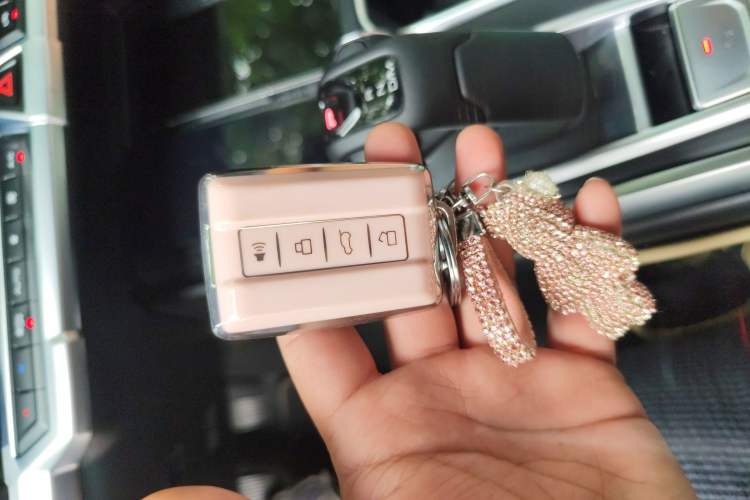 Used Tank 400 New Energy 2024 Hi4-T Off-Road Edition
